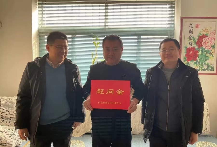 不朽情缘-官网
