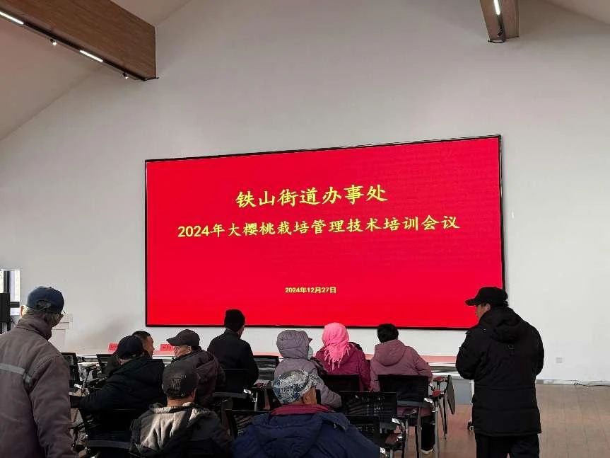 不朽情缘-官网